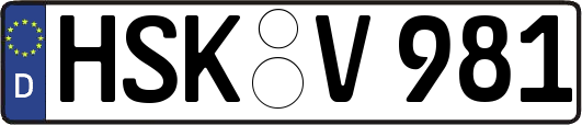 HSK-V981