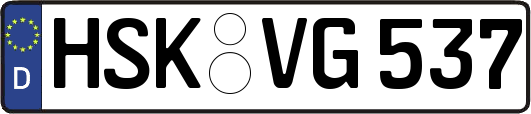 HSK-VG537