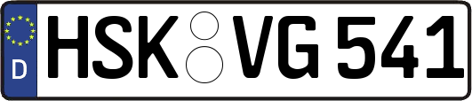 HSK-VG541