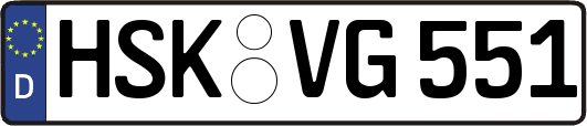 HSK-VG551