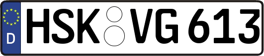 HSK-VG613