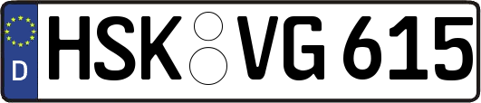 HSK-VG615