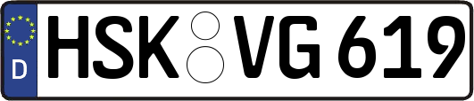 HSK-VG619