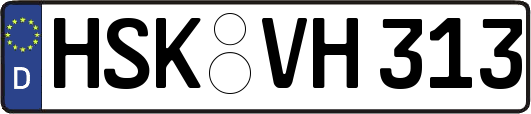 HSK-VH313