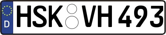 HSK-VH493