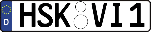 HSK-VI1
