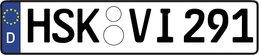 HSK-VI291
