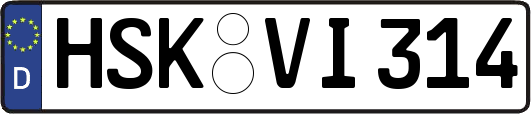 HSK-VI314