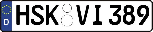 HSK-VI389