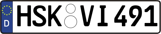 HSK-VI491