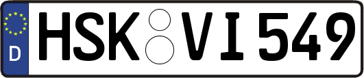 HSK-VI549