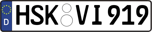 HSK-VI919