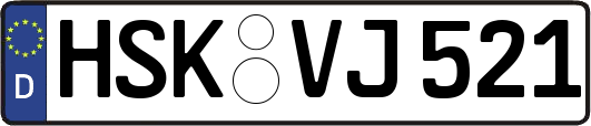 HSK-VJ521