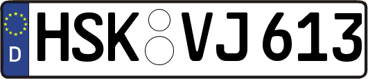 HSK-VJ613