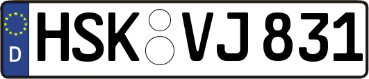 HSK-VJ831