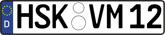 HSK-VM12