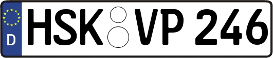 HSK-VP246