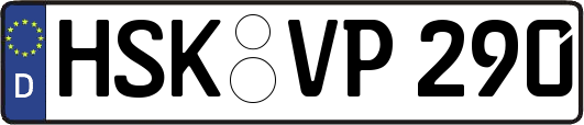 HSK-VP290