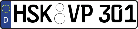 HSK-VP301