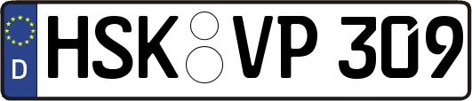 HSK-VP309