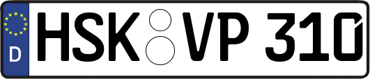 HSK-VP310