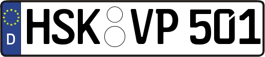 HSK-VP501