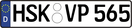HSK-VP565