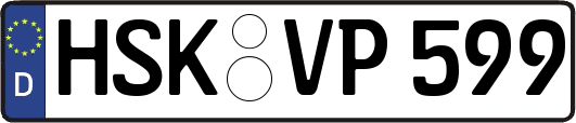 HSK-VP599