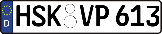 HSK-VP613