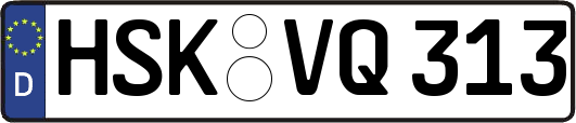 HSK-VQ313