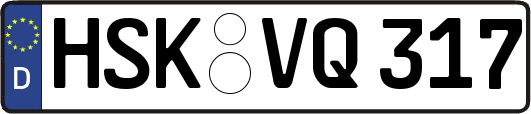 HSK-VQ317