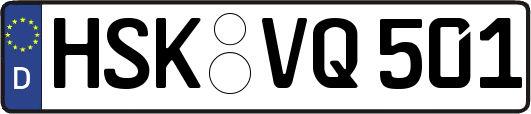 HSK-VQ501