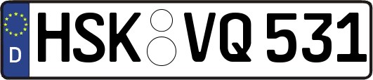 HSK-VQ531