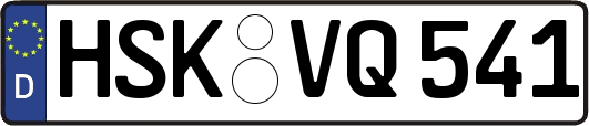 HSK-VQ541