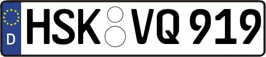 HSK-VQ919