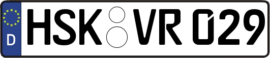 HSK-VR029