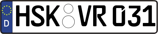 HSK-VR031