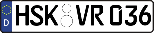 HSK-VR036