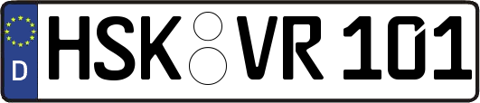 HSK-VR101