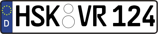 HSK-VR124