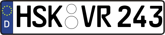 HSK-VR243