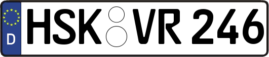HSK-VR246