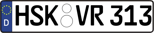 HSK-VR313