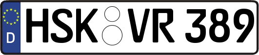 HSK-VR389