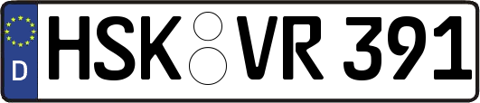 HSK-VR391