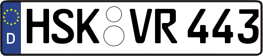HSK-VR443