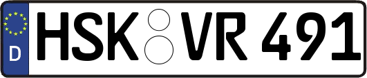 HSK-VR491