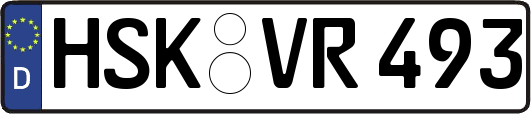 HSK-VR493
