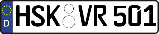HSK-VR501