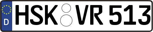 HSK-VR513